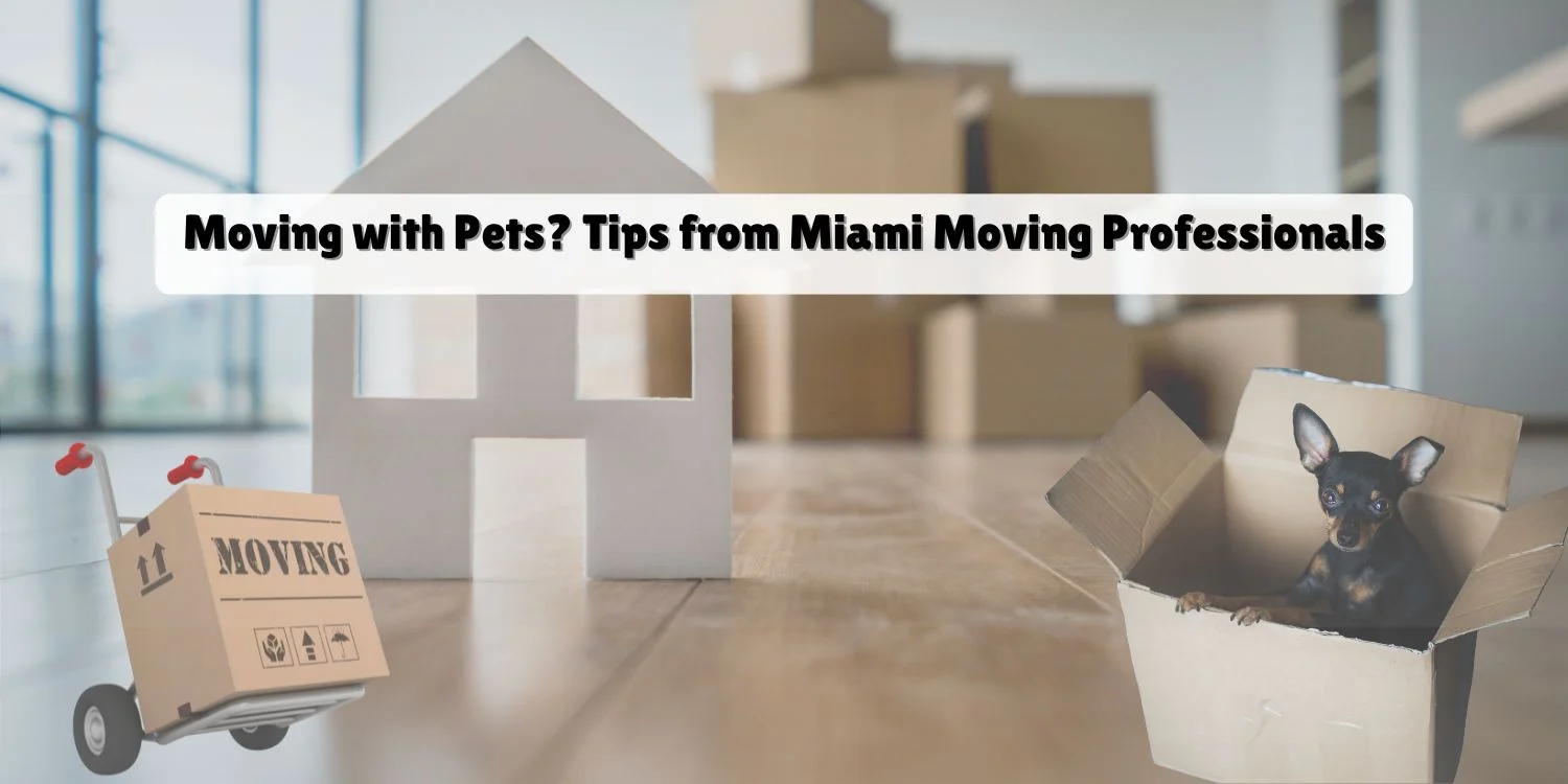 Moving with Pets? Tips from Miami Moving Professionals